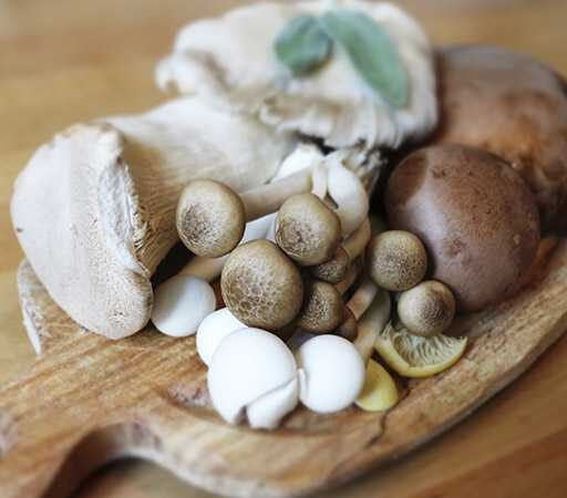 Immunomodulacyjne i&nbsp;przeciwnowotworowe właściwości grzybów