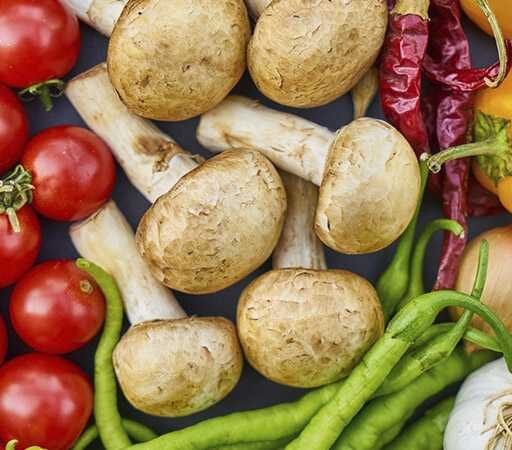 Wpływ żywienia na&nbsp;pracę mózgu i&nbsp;aktywność psychiczną człowieka