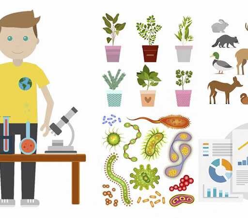 Wychowanie proekologiczne