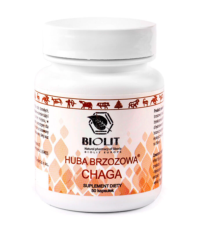 Chaga – huba brzozowa