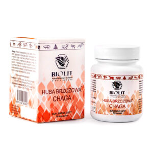 Chaga – huba brzozowa