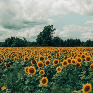 Sierpniowe promocje z&nbsp;Biolit Europe!