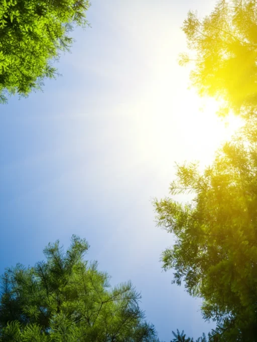 Niedobór witaminy D3 – objawy