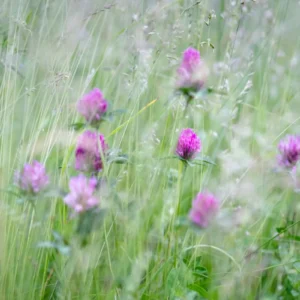 Za&nbsp;co&nbsp;odpowiada Witamina D3?