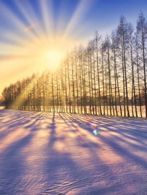 Za&nbsp;co&nbsp;odpowiada Witamina D3?