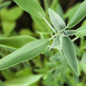 Magnez – źródła, zapotrzebowanie i norma we krwi